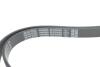 Купити Ремінь генератора Mitsubishi Lancer/Outlander 1.8-2.4 09- (6PK2200) DAYCO 6PK2200S (фото4) підбір по VIN коду, ціна 614 грн.