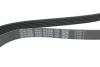 Купить Ремень ручейковый Mercedes Benz Sprinter OM646 08-09 DAYCO 6PK2360 (фото4) подбор по VIN коду, цена 525 грн.