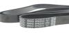 Купить Ремень ручейковый Mercedes Benz C140 M119 92-99 / VW Phaeton 3.0 TDI 07-16 DAYCO 6PK2515 (фото4) подбор по VIN коду, цена 629 грн.