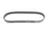 Купить Ремінь генератора Audi A1 14-18/Seat Ibiza/Toledo 15-19/VW Polo 1.4TDI 14- (-AC) (6PK730) DAYCO 6PK730EE (фото1) подбор по VIN коду, цена 311 грн.