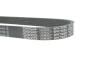Купить Ремінь генератора Audi A1 14-18/Seat Ibiza/Toledo 15-19/VW Polo 1.4TDI 14- (-AC) (6PK730) DAYCO 6PK730EE (фото4) подбор по VIN коду, цена 311 грн.
