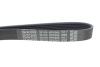 Купити Ремінь генератора Toyota Corolla/Auris/Yaris 1.4 D 04-14 DAYCO 6PK966 (фото4) підбір по VIN коду, ціна 440 грн.