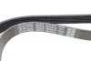 Купить Ремень генератора Citroen Berlingo/VW Golf III 1.4-2.0i 91- DAYCO 6PK975 (фото3) подбор по VIN коду, цена 340 грн.