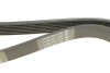 Купить Ремень генератора Renault Megane 1.9dCi/2.0 03(+AC) DAYCO 7PK1127 (фото3) подбор по VIN коду, цена 553 грн.