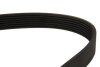 Купить Пас DAYCO 7PK1180 (фото2) подбор по VIN коду, цена 995 грн.
