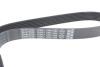 Купити Ремінь генератора Renault Espace 1.9 dCi/2.0 02-/Megane 1.4 TCe 09- DAYCO 7PK1784 (фото3) підбір по VIN коду, ціна 629 грн.