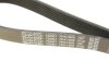 Купити Ремінь генератора Ford Scorpio II/Toyota Camry 2.4i/3.5i 94- DAYCO 7PK1905 (фото5) підбір по VIN коду, ціна 772 грн.