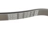 Купити Ремінь генератора Opel Movano / Renault Master 3.0 DTI/dCi 03- DAYCO 7PK1920 (фото4) підбір по VIN коду, ціна 823 грн.