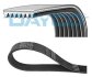 Купити Автозапчасть Land Rover Range Rover, Mercedes W220, C215 DAYCO 7PK2335 (фото1) підбір по VIN коду, ціна 1182 грн.