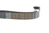 Купити Ремінь генератора MB SLR (R199) 04- M155 (8PK1240) DAYCO 8PK1240HD (фото4) підбір по VIN коду, ціна 573 грн.