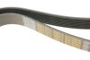 Купить Ремень генератора поликлиновый DAYCO 8PK1300HD (фото5) подбор по VIN коду, цена 614 грн.