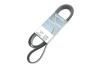 Купить Дорожный пас DAYCO 8PK2085HD (фото2) подбор по VIN коду, цена 899 грн.