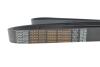 Купить Дорожный пас DAYCO 8PK2085HD (фото4) подбор по VIN коду, цена 899 грн.