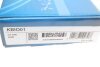 Купити Касета ланцюга ГРМ Ford Connect 1.8TDCI (75-90-110PS) 07- DAYCO kbio01 (фото16) підбір по VIN коду, ціна 5474 грн.