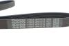 Купить Комплект ременя генератора Citroen Jumpy/Fiat Scudo/Peugeot Expert 2.0HDi 04- (6PK1215) DAYCO kpv179 (фото7) подбор по VIN коду, цена 1593 грн.