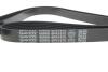 Купить Комплект ременя генератора Citroen Jumpy/Fiat Ducato/Peugeot Boxer 2.2HDi 06- (6PK1670) DAYCO kpv338 (фото4) подбор по VIN коду, цена 4463 грн.