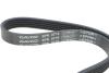 Купити Комплект ременя генератора Mazda 3 2.0 09-14/5 1.8 05-10 (5PK716EE/6PK1310) DAYCO kpv964 (фото4) підбір по VIN коду, ціна 3602 грн.