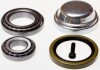 Купить Комплект подшипников P DB 202/210 Mercedes W124, W202, W210, S202, S210, CLK-Class Denckermann w413231 (фото1) подбор по VIN коду, цена 521 грн.