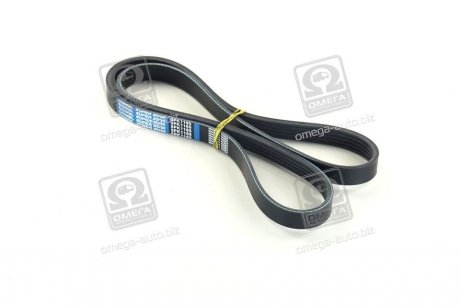 РЕМЕНЬ ПОЛИКЛИНОВЫЙ BMW E23, E32, E31, Peugeot 605, Mazda 626, 323, Alfa Romeo Mito, Fiat Punto, Audi A4, Fiat 500 Dongil 5PK1165