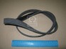 Купить РЕМЕНЬ ПОЛИКЛИНОВЫЙ Toyota Camry, Volkswagen Sharan, Ford Galaxy, Fiat Doblo, Volkswagen Golf, Scirocco, Mini Cooper, Peugeot 307, Citroen C3, Audi A3, Volkswagen Touran Dongil 6PK1055 (фото2) подбор по VIN коду, цена 381 грн.