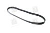Купить Ремінь полікліновий BMW E23, E32, E31, Volkswagen Transporter, Peugeot 405, 306, 806, 605, Volkswagen Multivan, Alfa Romeo 145, Peugeot 406, Skoda Felicia Dongil 6PK1080 (фото1) подбор по VIN коду, цена 439 грн.