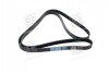 Купити Ремінь поліклиновий Mercedes W202, CLS-Class, W210, S202, S210, W204, CLK-Class, SsangYong Korando, Mercedes M-Class, W221, S204 Dongil 6PK2155 (фото5) підбір по VIN коду, ціна 494 грн.