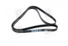 Купити Ремінь поліклиновий Mercedes W202, CLS-Class, W210, S202, S210, W204, CLK-Class, SsangYong Korando, Mercedes M-Class, W221, S204 Dongil 6PK2155 (фото2) підбір по VIN коду, ціна 494 грн.