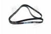 Купити Ремінь поліклиновий Mercedes W202, CLS-Class, W210, S202, S210, W204, CLK-Class, SsangYong Korando, Mercedes M-Class, W221, S204 Dongil 6PK2155 (фото1) підбір по VIN коду, ціна 494 грн.