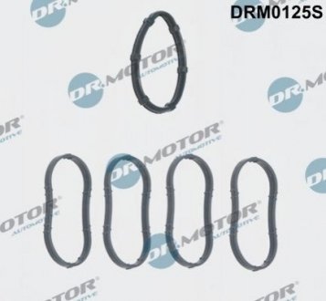 Комплект прокладок гумових Nissan Primastar Dr.Motor drm0125s