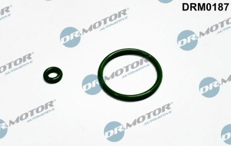 Ремкомплект форсунки 2 елементи Dr.Motor drm0187