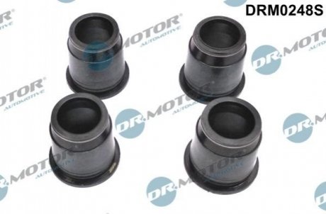Купити Кільце гумове Dr.Motor drm0248s (фото1) підбір по VIN коду, ціна 875 грн.