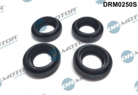 Комплект прокладок гумових Dr.Motor drm0250s