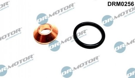 Ремкомплект форсунки 2 элемента Dr.Motor drm0256