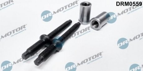 Купить Комплект болтов двигателя с фигурной головкой Ford Fiesta, Focus, C-Max, Citroen Xsara, Peugeot 407, 307, 206, Ford Fusion, Citroen C4, C5, C3 Dr.Motor drm0559 (фото1) подбор по VIN коду, цена 429 грн.