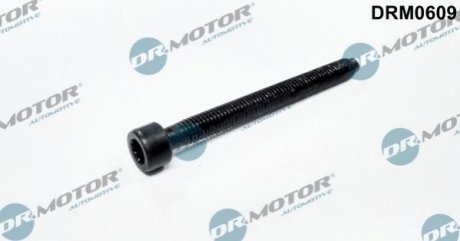 Болт з фігурною головкою Dr.Motor drm0609