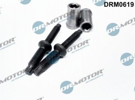 Комплект болтов двигателя с фигурной головкой Peugeot 508, Ford Mondeo, Galaxy, S-Max, Peugeot Expert, Ford Focus, Citroen Jumpy, Ford C-Max, Peugeot 607, 406, Citroen C5 Dr.Motor drm0619