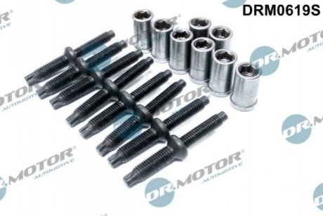 Комплект болтов двигателя с фигурной головкой Dr.Motor drm0619s