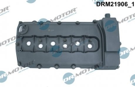 Кришка головки циліндра пластмаса Dr.Motor drm21906