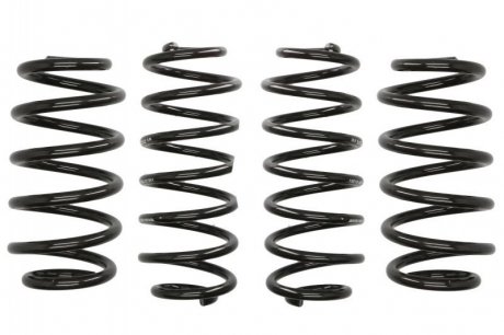 Комплект пружин. EIBACH e10-15-011-01-22