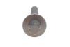 Купити Болти головки (к-кт 11шт.) Citroen Berlingo/Peugeot Partner 1.2 PureTech 18- Peugeot 208, Citroen C-Elysee, DS3, C3, Peugeot 2008, 308, Citroen C1, C4, Peugeot 108, Citroen DS4, Peugeot 5008 ELRING 592.641 (фото7) підбір по VIN коду, ціна 1071 грн.