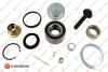 Купити 8708509998 ПІДШИПНИК ПІДВІСКИ К-КТ Peugeot 306, Citroen SAXO, Peugeot 106, Citroen Xsara, Peugeot 206, Chevrolet Aveo, Opel Meriva, Citroen C3, C2 EUROREPAR 1637958480 (фото1) підбір по VIN коду, ціна 1606 грн.