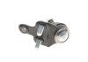 Купити Опора кульова (передня/знизу/L) Lexus RX 06-08/Toyota Camry 01-06 Toyota Previa, Camry, Lexus RX FAG 825 0151 10 (фото4) підбір по VIN коду, ціна 818 грн.