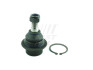 Купить Шаровая опора нижняя FORD TRANSIT (V347/V348) 06-14,TRANSIT (V363) 14-16,TRANSIT (FA_) 00-06 Ford Transit, Connect FAST ft17101 (фото3) подбор по VIN коду, цена 368 грн.