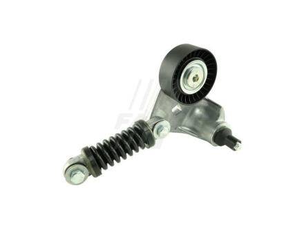 Натяжник пасків приводних Ford Transit/Mondeo 2.0Di 00- FAST ft44631