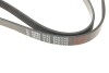 Купить Комплект ремня генератора Fiat Doblo 1.4 05- (5PK1145) Fiat Panda, Bravo, Doblo, Punto, Grande Punto, Alfa Romeo Mito, Giulietta, Fiat 500, Lancia Musa, Opel Combo, Lancia Delta FEBI BILSTEIN 177980 (фото3) подбор по VIN коду, цена 1431 грн.