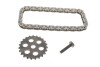 Купить Комплект цепи насоса масличного BMW 3 (F30)/4 (F32,E82)/5 (F10) 07- (N47/N57/B47) (48 звеньев/z=23) FEBI BILSTEIN 184820 (фото1) подбор по VIN коду, цена 1647 грн.