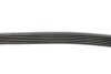 Купить Ремень генератора Audi A3 1.6/2.0FSI 03-13/Citroen Berlingo 1.9D 96-11/Caddy 1.6-2.0 95-15 (6PK1045) FEBI BILSTEIN 28915 (фото2) подбор по VIN коду, цена 310 грн.