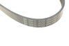 Купить Ремень генератора Audi A3 1.6/2.0FSI 03-13/Citroen Berlingo 1.9D 96-11/Caddy 1.6-2.0 95-15 (6PK1045) FEBI BILSTEIN 28915 (фото3) подбор по VIN коду, цена 310 грн.