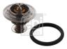 Купить Термостат Master 3.0dCi 03-/Mascott 04-10 FEBI BILSTEIN 33493 (фото1) подбор по VIN коду, цена 728 грн.
