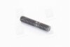 Фото шпилька (старий код 985-923) M8X25 mm (Fischer) Renault Megane, Fiat Ducato, Volvo 760, 740, 960, 940, Renault 19, Safrane, Lancia Delta, Alfa Romeo 166, Renault Master Fischer Automotive One (FA1) 985823 Купить Шпилька (старий код 985-923) M8X25 mm (Fischer) Renault Megane, Fiat Ducato, Volvo 760, 740, 960, 940, Renault 19, Safrane, Lancia Delta, Alfa Romeo 166, Renault Master Fischer Automotive One (FA1) 985-823 (фото1) подбор по VIN коду, цена 23 грн.